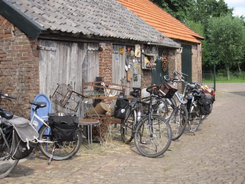 Schoolkinderen op avontuur op het water, onder het water en op de kade!