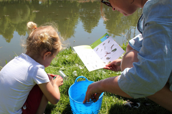 Gdg Wijk bij Duurstede_2