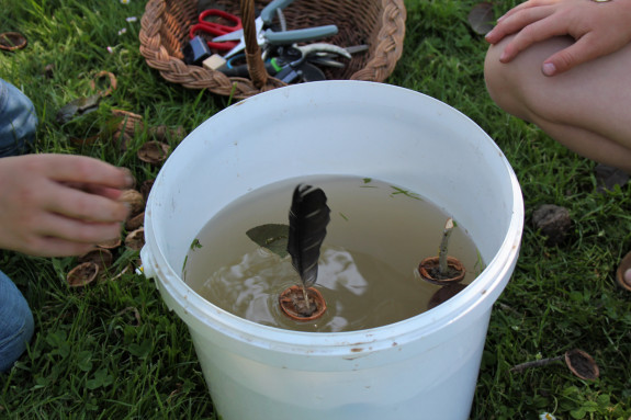 Gdg Wijk bij Duurstede_5