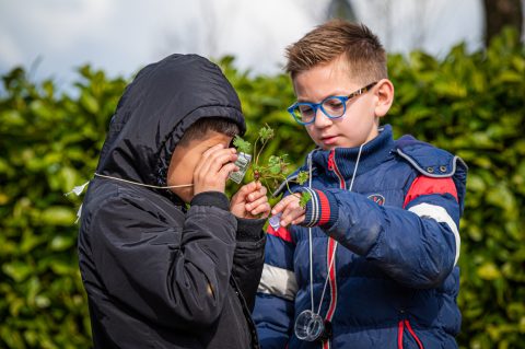 Natuuractiviteiten voor kinderen in Zuid-Holland