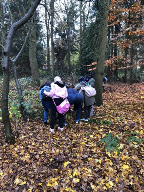 Bosuitjes NatuurWijs Zeist groot succes!