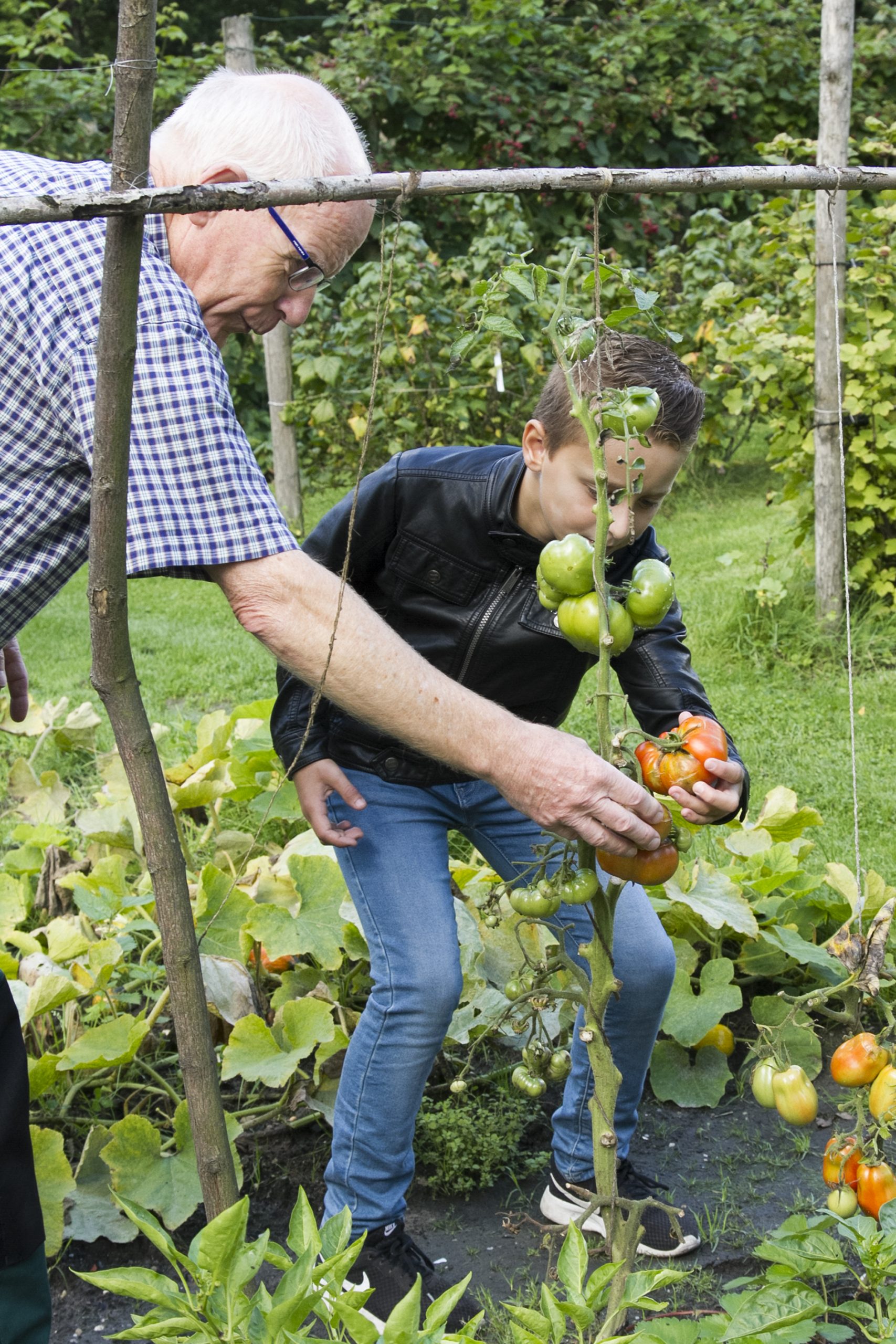 Lees hier het jaarverslag van Groen doet goed Utrecht 2018