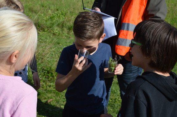 Groen doet goed - Keercamp Houten 2