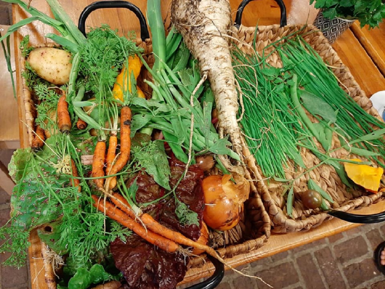 Moestuinjuf Charlotte uit Zeist biedt kinderen een natuurlijke ontdekkingstocht