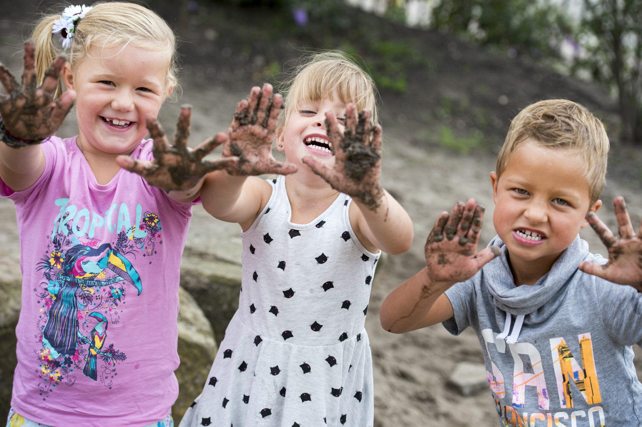 Barendrecht, Albrandswaard en Ridderkerk