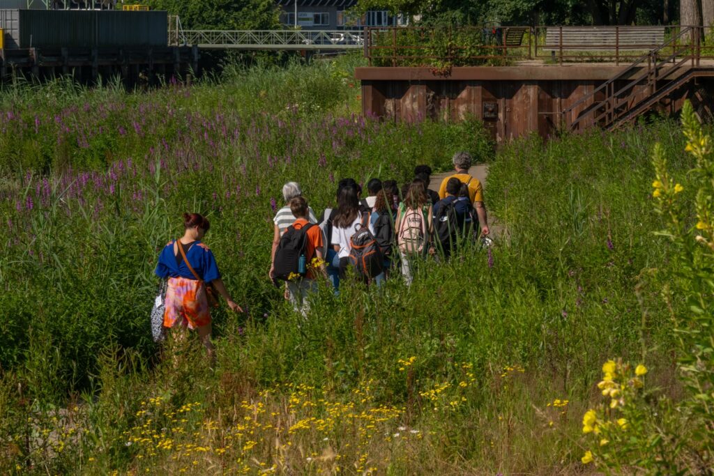 Groep mensen wandelt door een groen gebied met wilde bloemen en struiken op een zonnige dag.