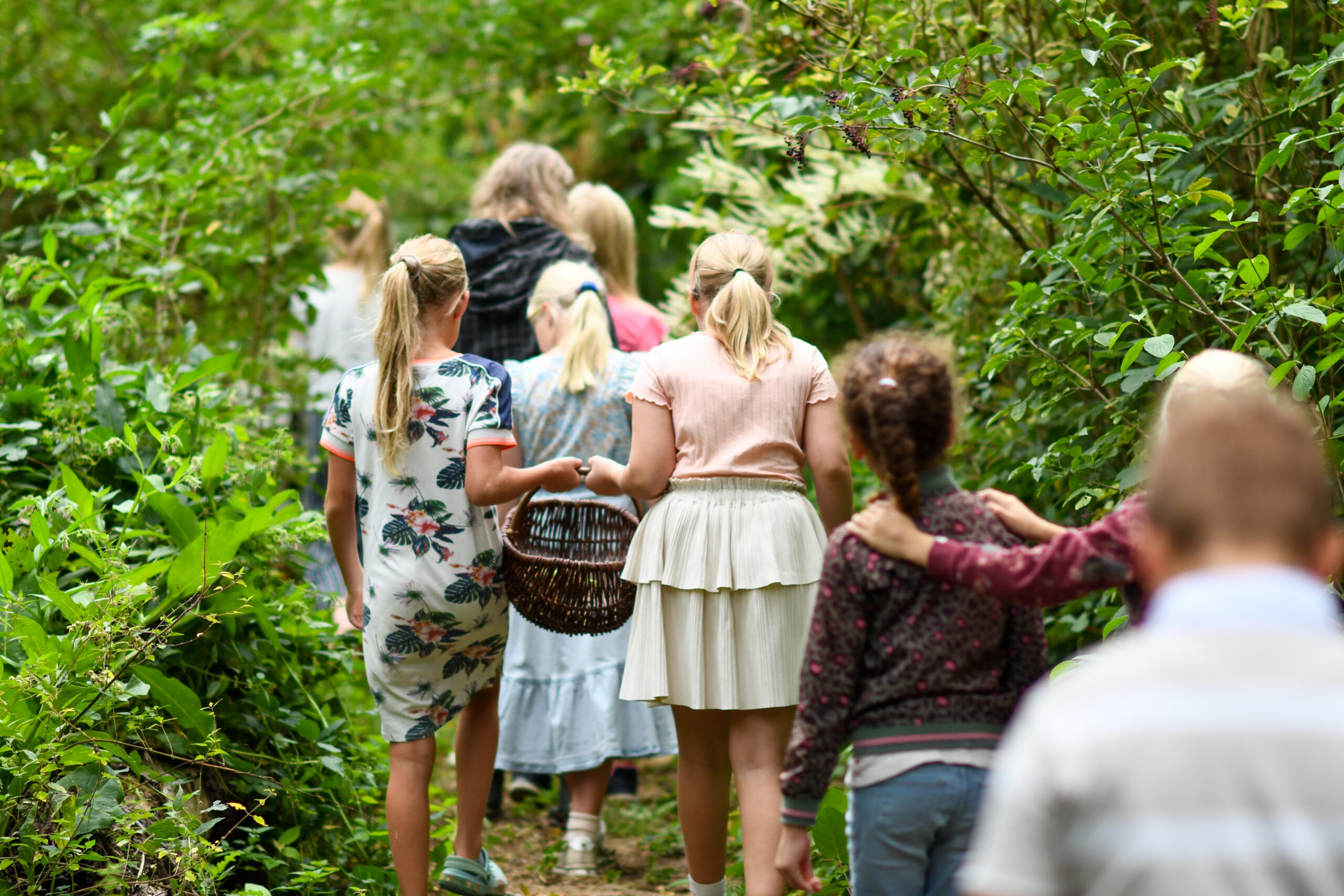 Groep kinderen wandelt op een pad door dichtbegroeide groene natuur.