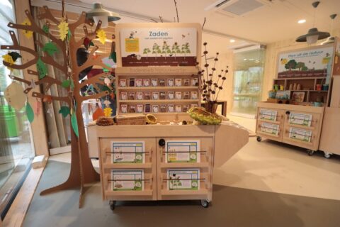 Educatief zaden-display met infokaarten, knutselboom met bladlabels, en zadenbibliotheek in een klaslokaal.