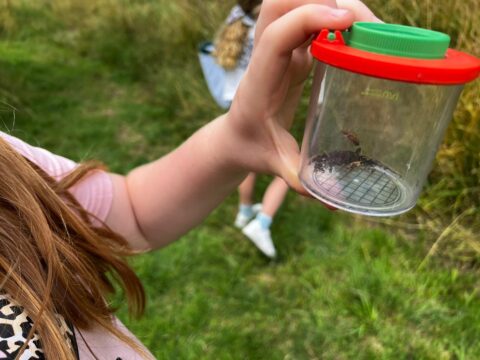 Een kind houdt een plastic potje met een insect vast, staande in gras.