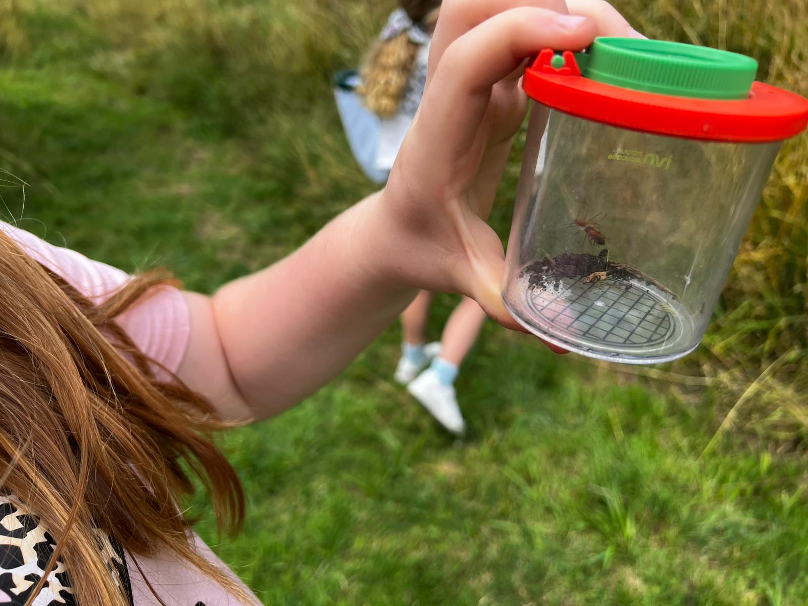 Een kind houdt een plastic potje met een insect vast, staande in gras.