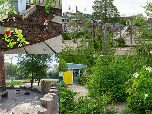groen schoolplein