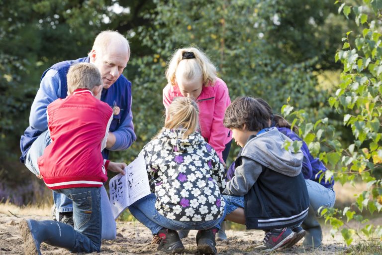 Stap 7: (Educatief) Gebruik