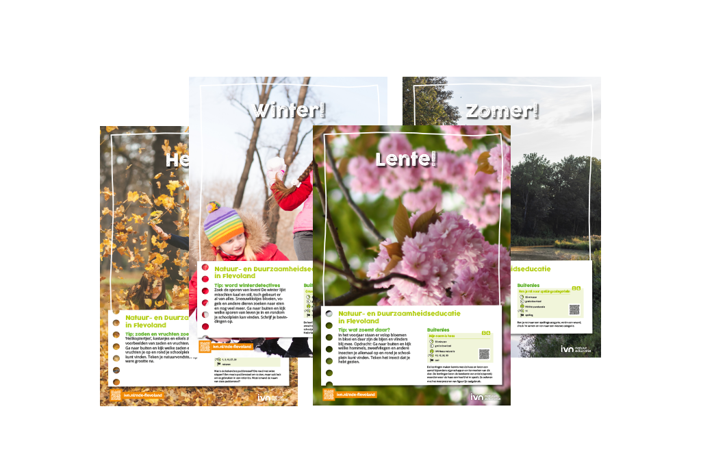 Vier seizoensgebonden posterontwerpen: herfst, winter, lente, zomer, met natuurlijke thema’s.