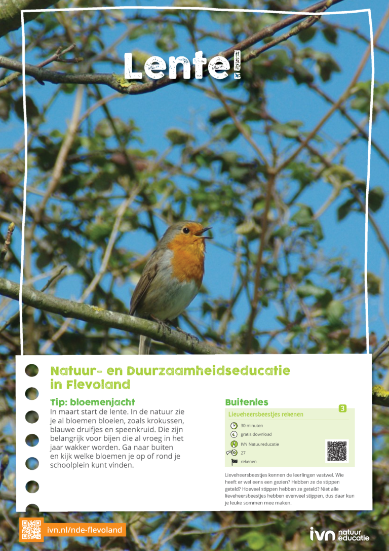 Roodborstje op tak met tekst over lente en educatie in Flevoland.