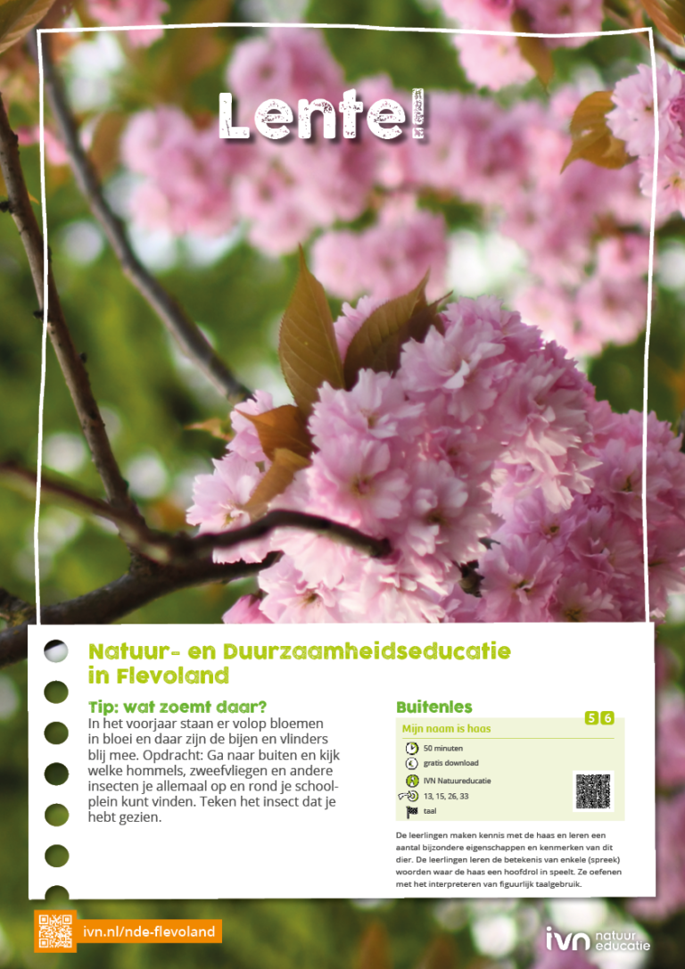 Roze lentebloesem met tekst 