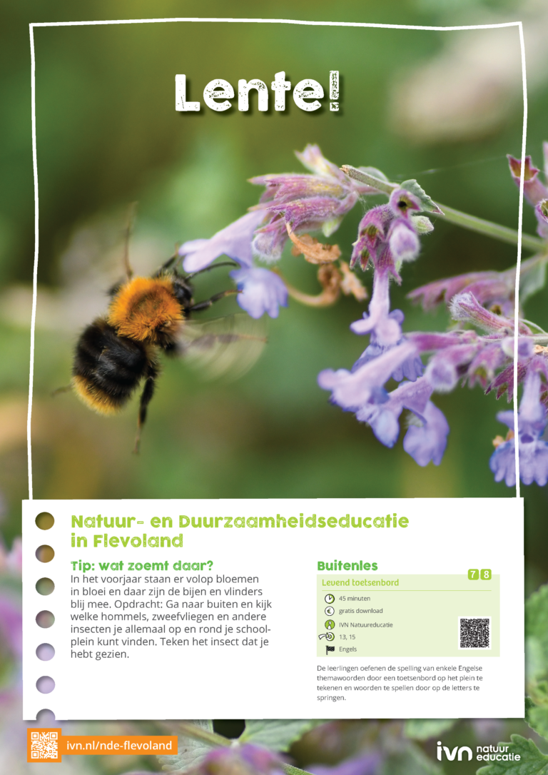 Bij is bezig met nectar op een paarse bloem, met tekst over lente en natuureducatie in Flevoland.