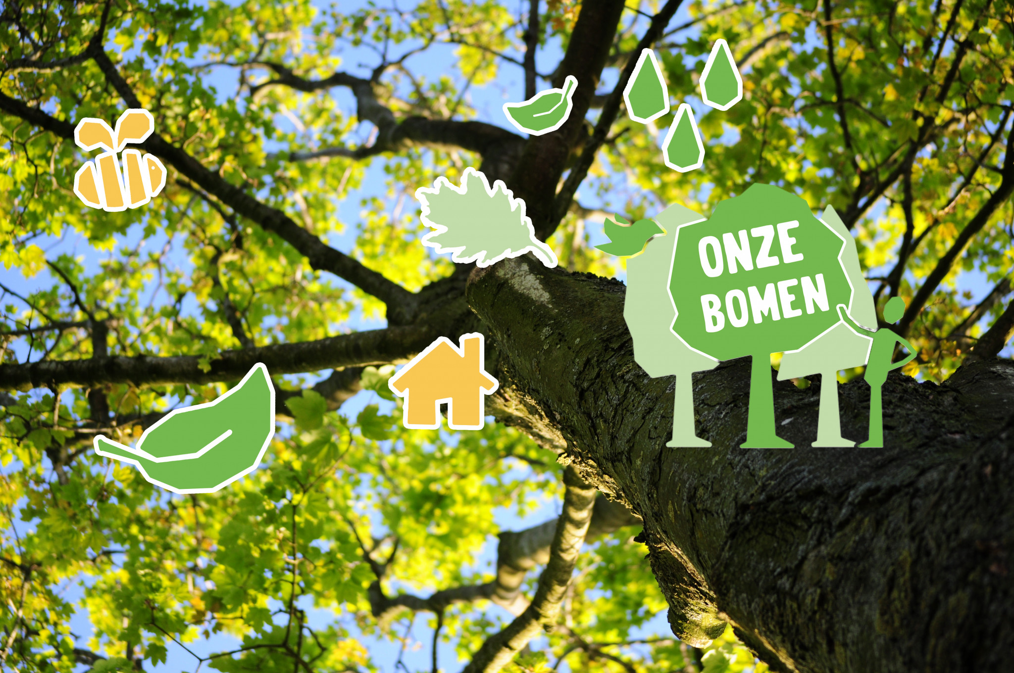 Gezocht: Almeerders, met een groen hart voor bomen