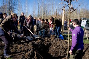 lancering onze bomen