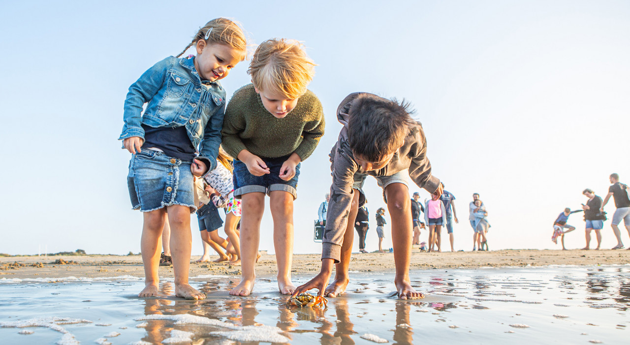 Cursus Gastheer van het Groene Strand