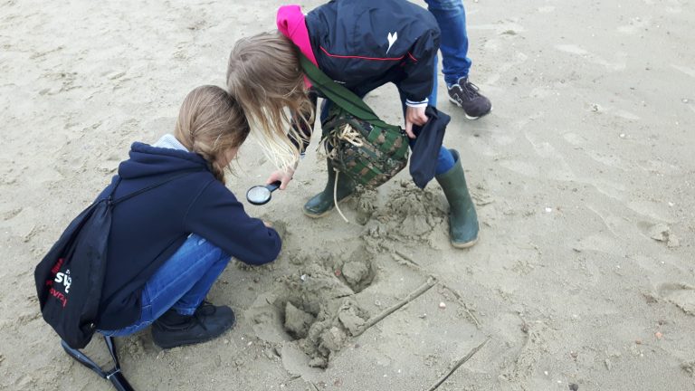 Terra Maris – Museum voor Natuur en Landschap