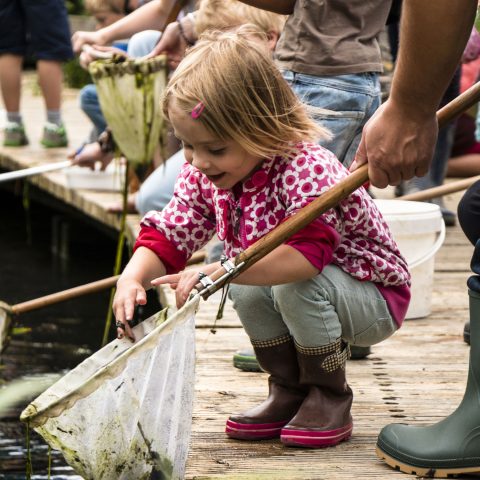 Over samenwerkingsverband de Zeeuwse Natuur