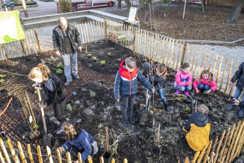 Leerlingen planten vier Voedselbosjes in Zeeland