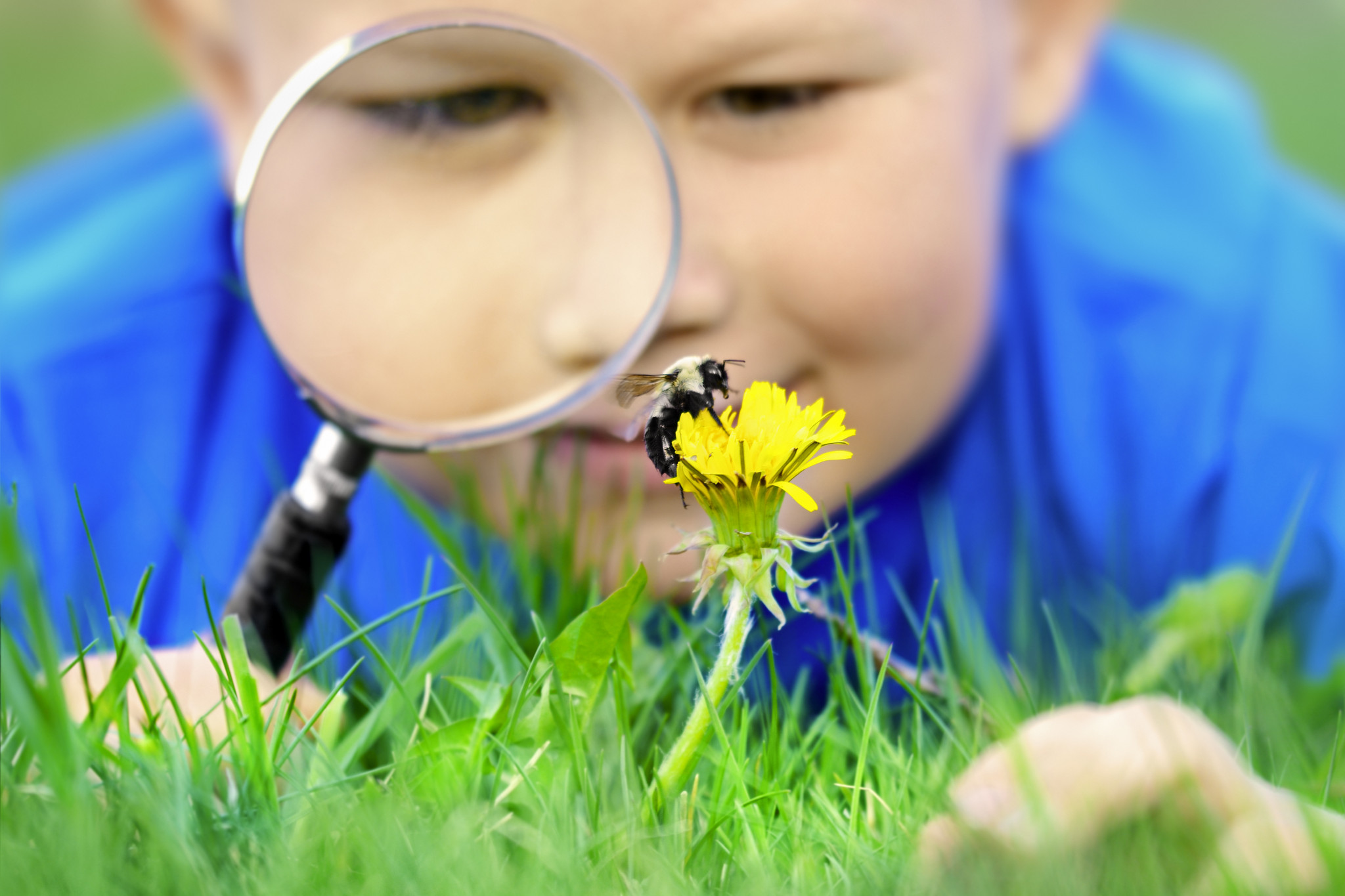 10 natuurlessen op het schoolplein