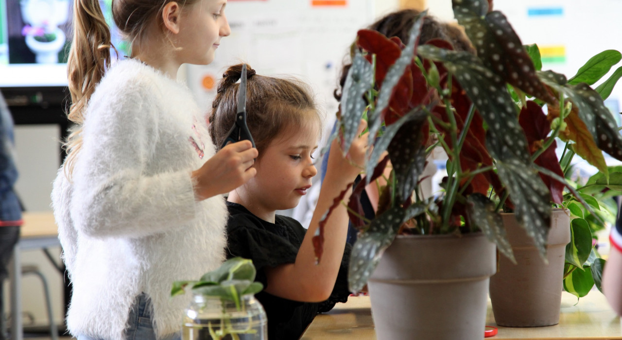 Leerlingen van drie Zeeuwse basisscholen planten eigen BinnenBos 