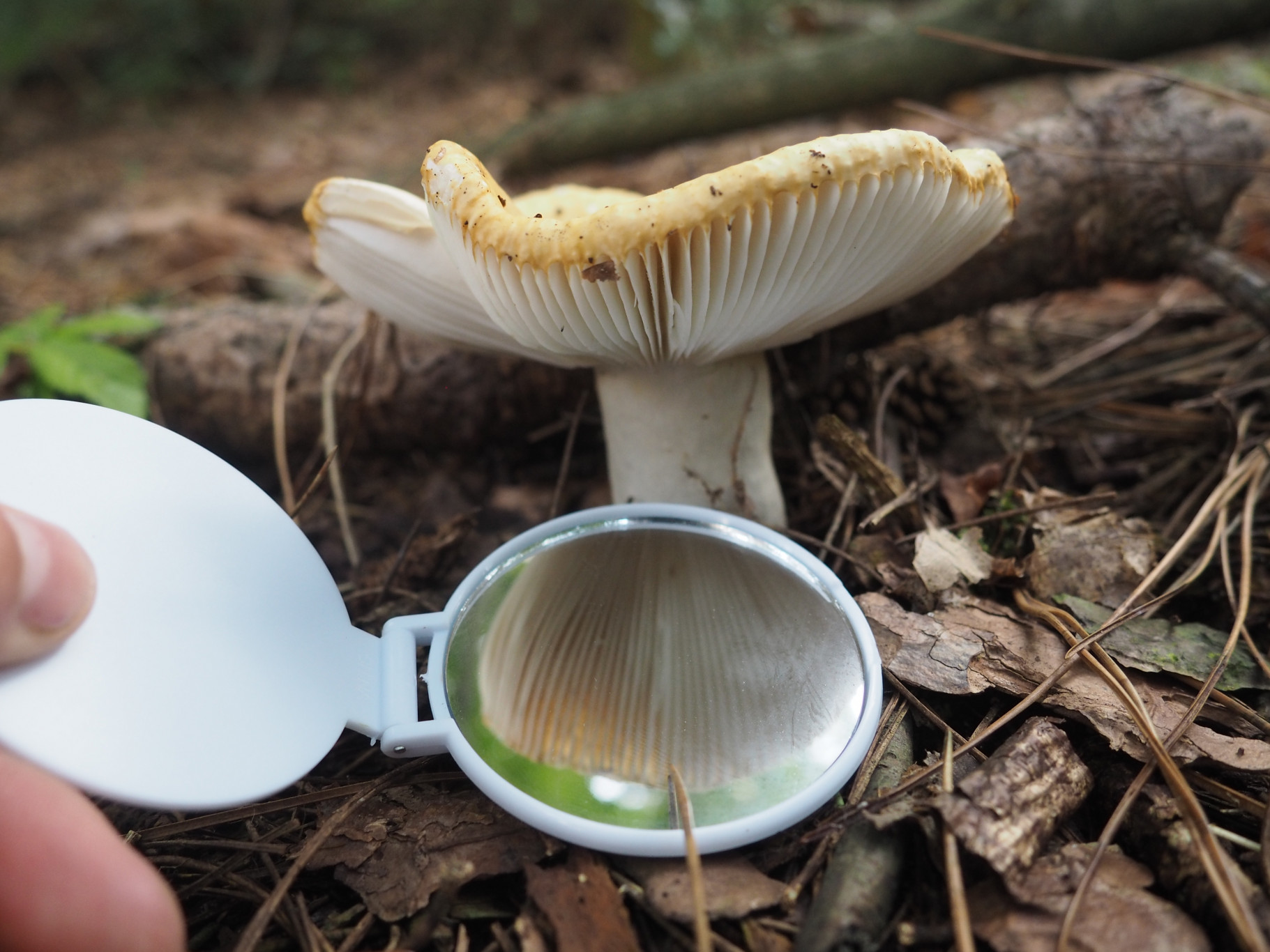 Lessenbundel de Zeeuwse Natuur