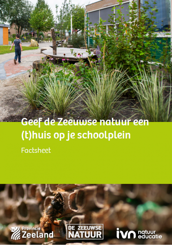 Factsheet Zeeuwse Natuur op je schoolplein