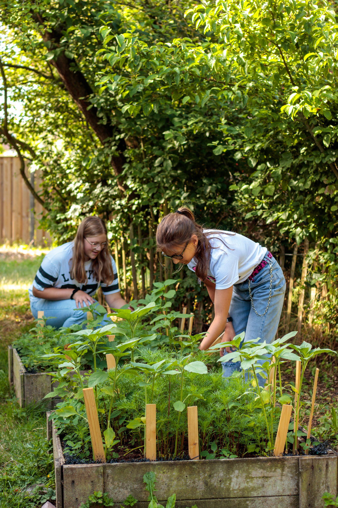 Twee meisjes werken in een groentetuin met houten plantenbakken, omgeven door groene struiken.