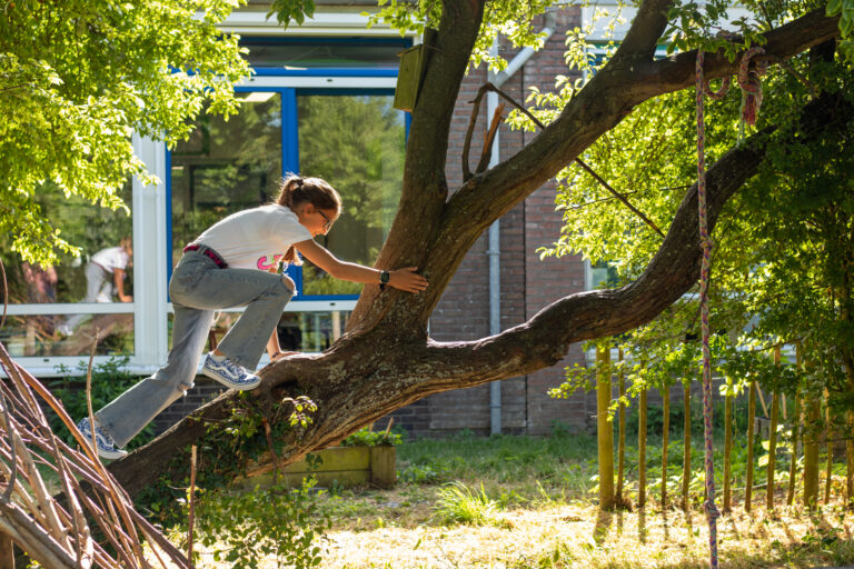 Meisje klimt in een boom, omringd door groen, naast een gebouw met blauwe kozijnen.