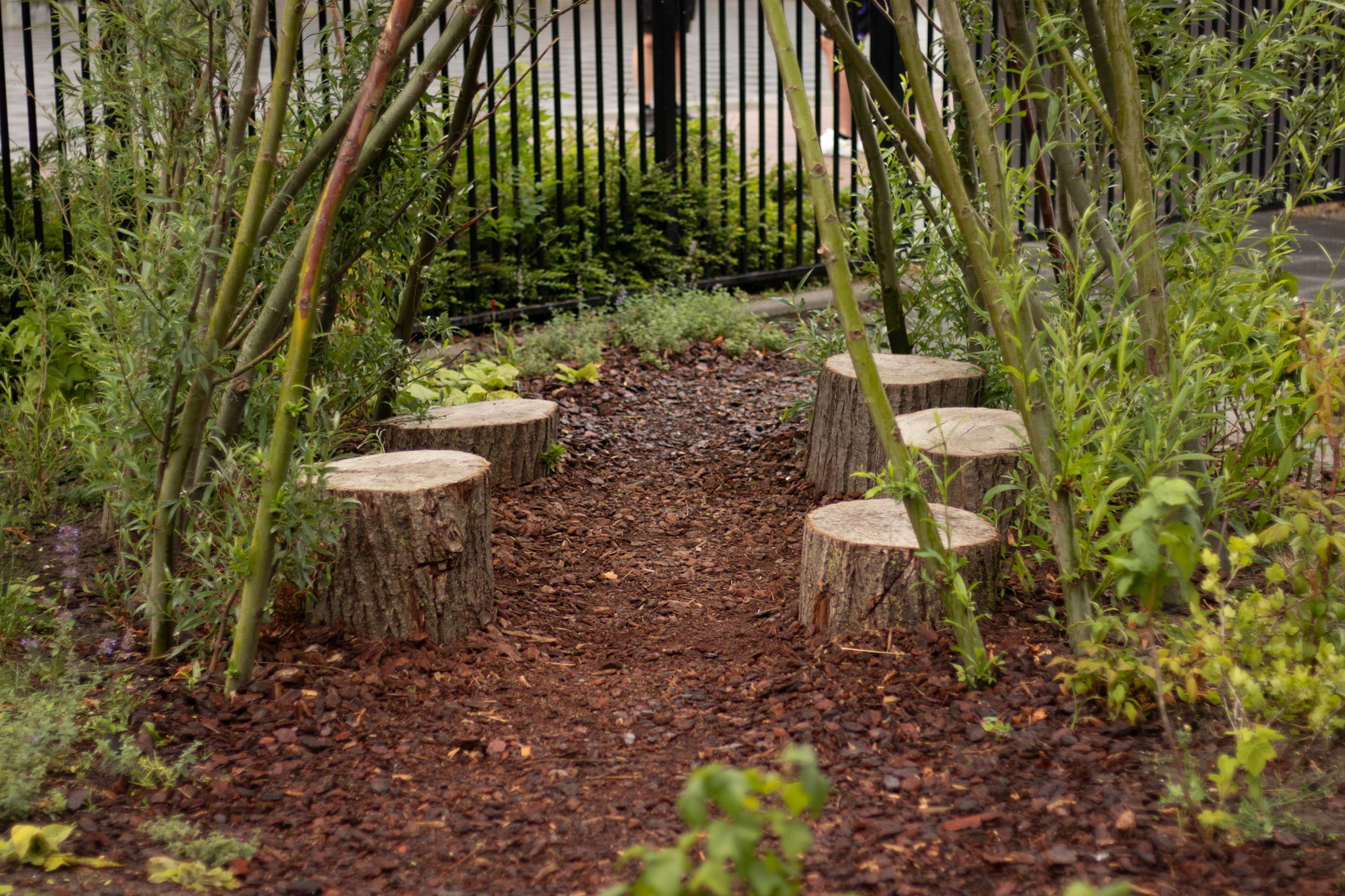 Boomstronkstoelen rondom een pad in een tuin, omringd door groene planten en wilgentakken.