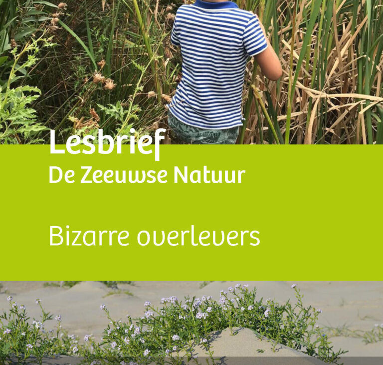 Kind in gestreept shirt verkent riet; tekst: 