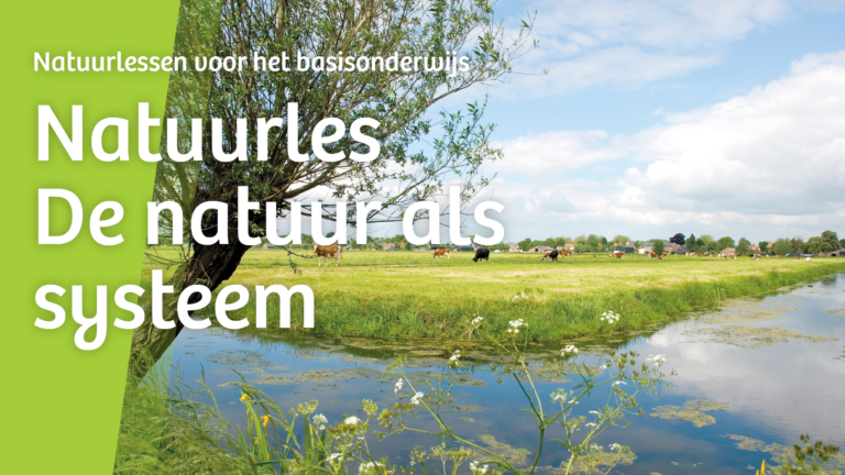 Groene weide met koeien en sloot, tekst: 