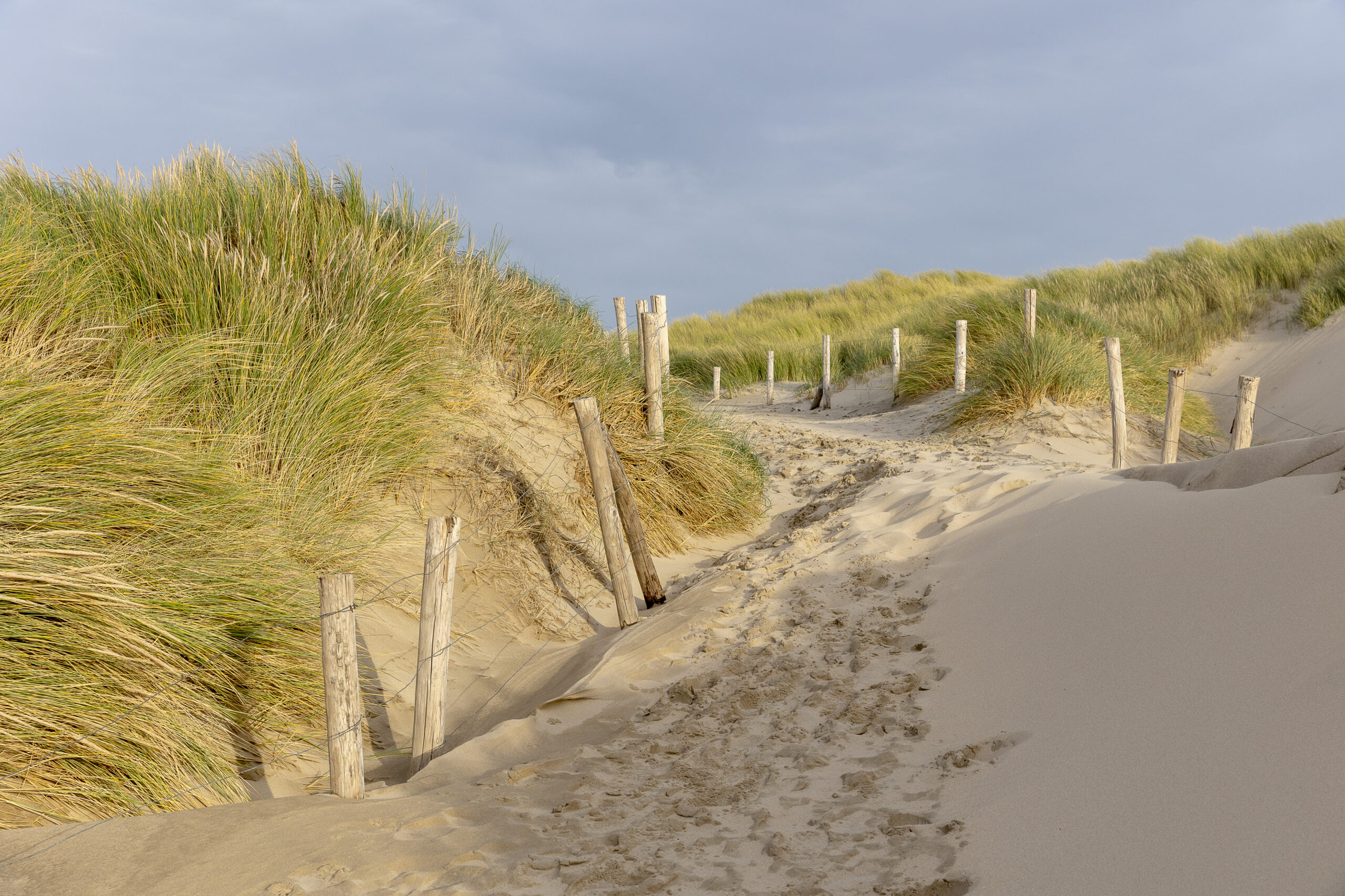Zandpad door grasduinen met houten paaltjes onder een bewolkte hemel.