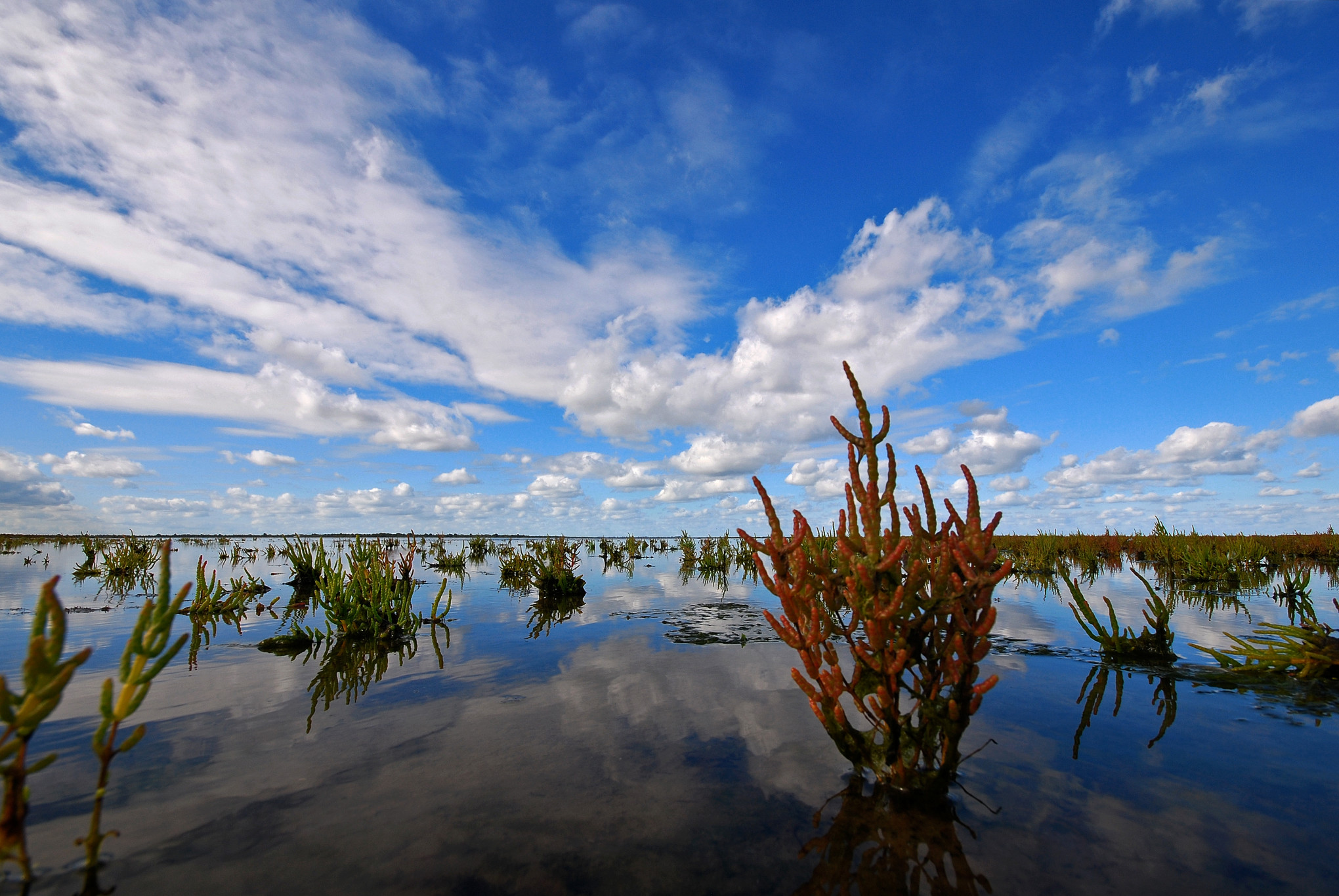 ‘Ik betrap mezelf erop dat ik ’s ochtends al voor zonsopkomst in de polder zit te wachten’