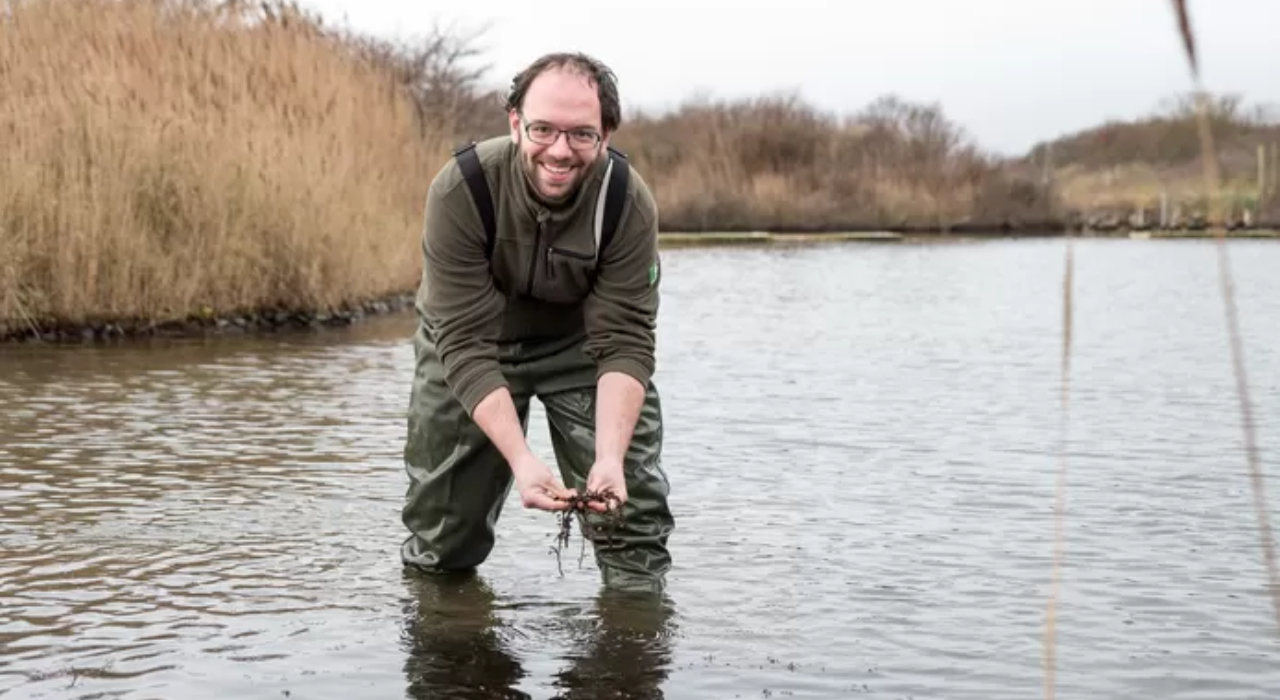 Velden vol zeegras en rifjes met oesters en krukels