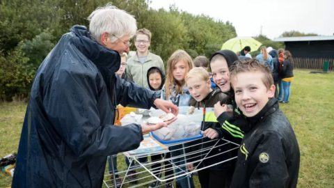 Laat het Tiny Sea Forest nu maar groeien