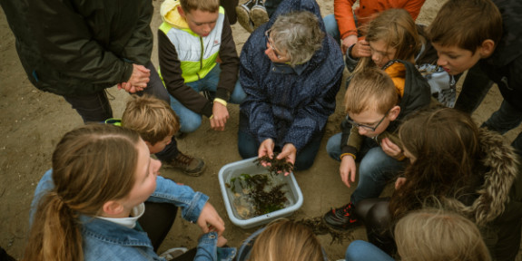 Tiny sea forest foto: Anne Kaere fotografie