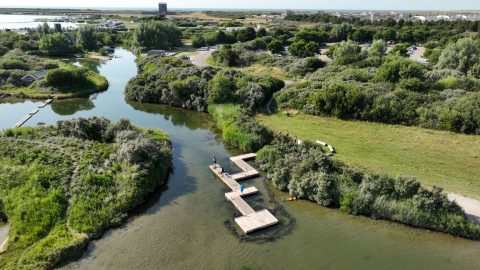 De groei van het Tiny Sea Forest is begonnen