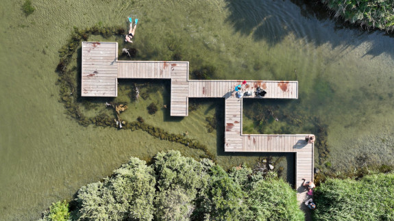 Het Tiny Sea Forest recht van boven, met recreanten