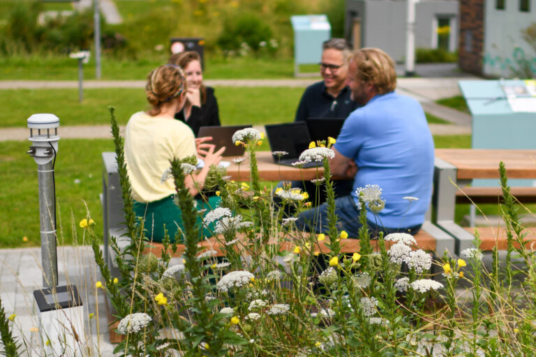 Vier mensen overleggen buiten aan een tafel, omringd door bloemen en groen.