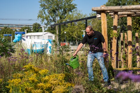 Festo tovert bedrijventerrein om tot bloeiende en zoemende tuin