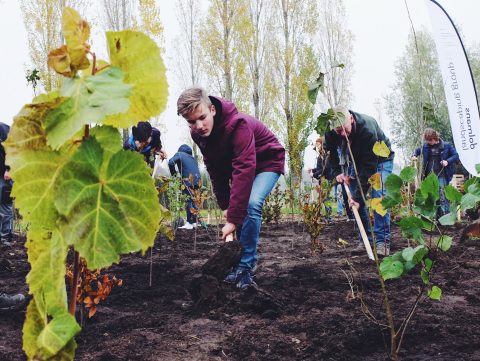 16 nieuwe Tiny Forest partnergemeenten in Zuid-Holland