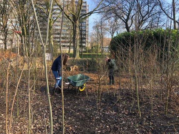 jongeren snoeien onderhoud tiny forest
