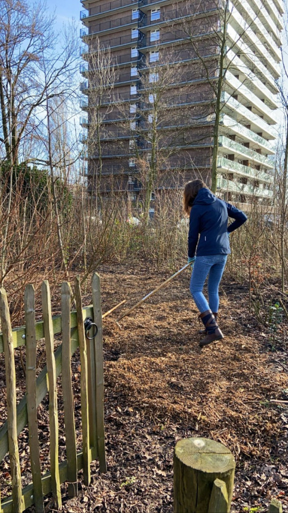jongeren snoeien onderhoud tiny forest