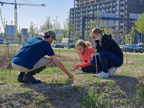 Drie mensen planten bomen in een stedelijke omgeving bij daglicht met gebouwen op de achtergrond.