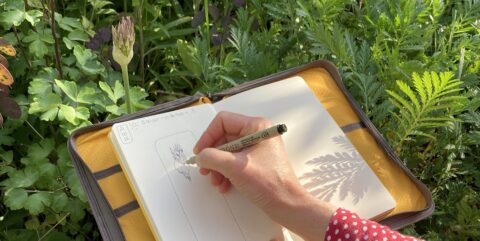 Een hand tekent een bloem in een schetsboek in een tuin.