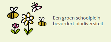 Groen schoolplein - biodiversiteit